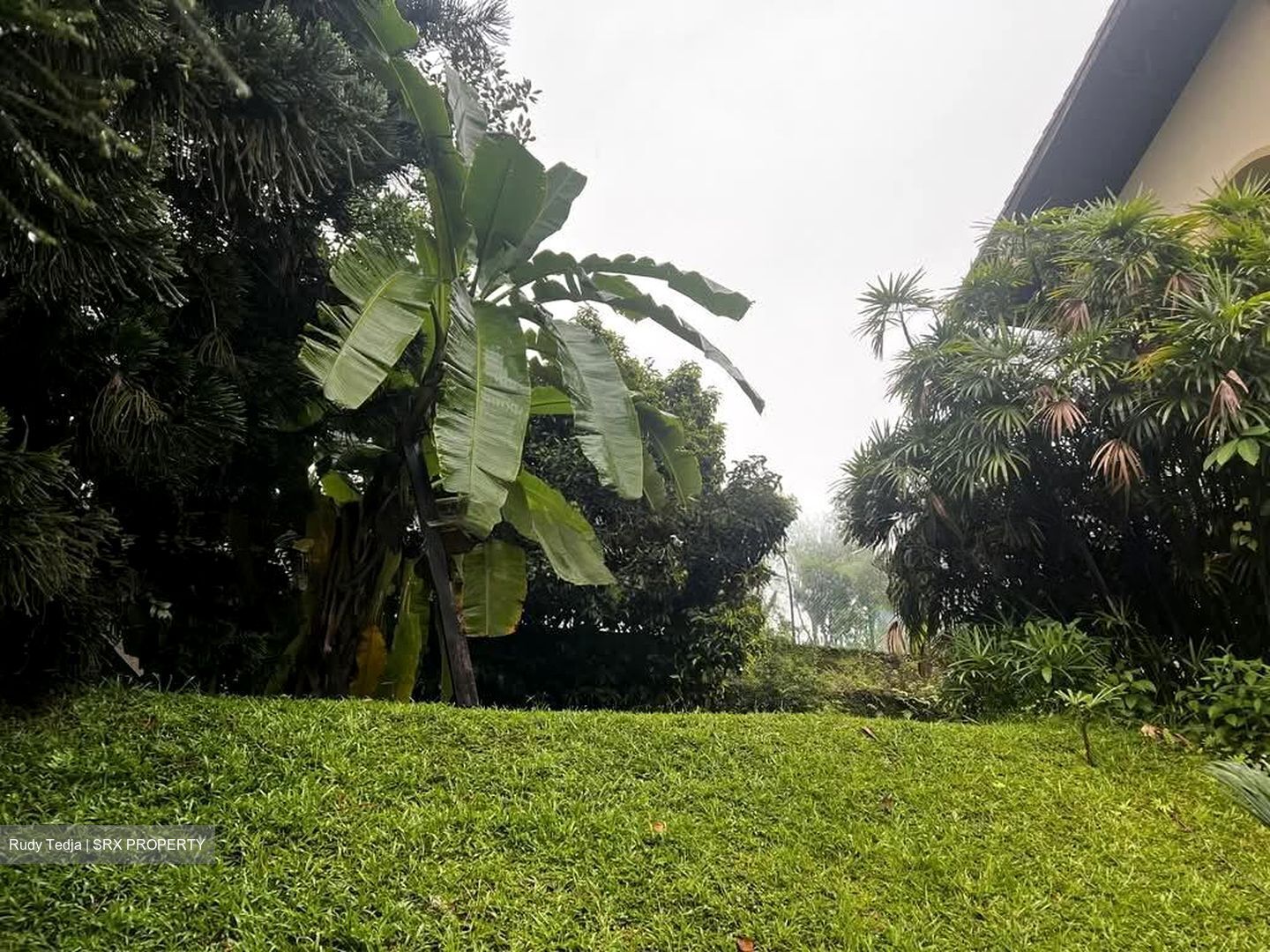 Tanglin Road (D10), Detached #564176931